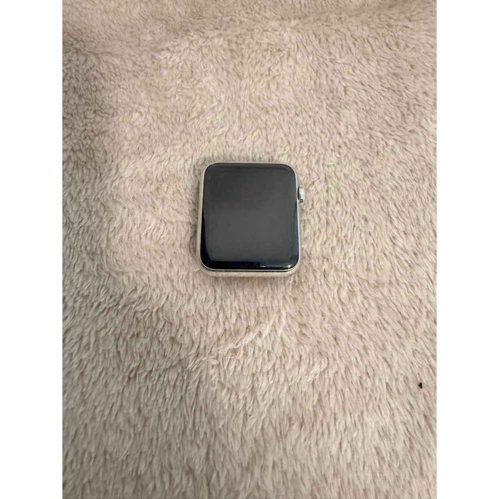 Apple Watch 1st Gen 42mm Stainless Steel Case Silver